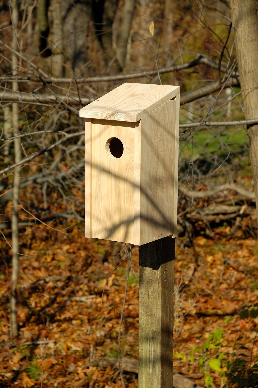 Heartwood Flicker Birdhouse - Solid Cypress