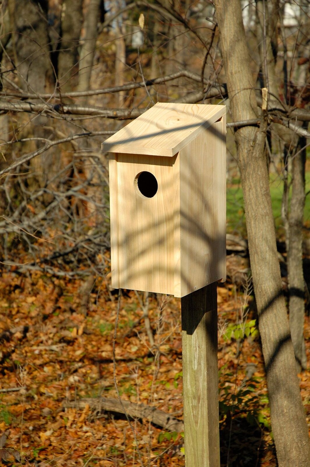 Heartwood Screech Owl Birdhouse - Solid Cypress