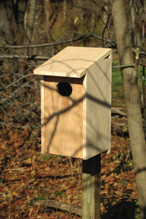 Heartwood Wood Duck Birdhouse - Solid Cypress