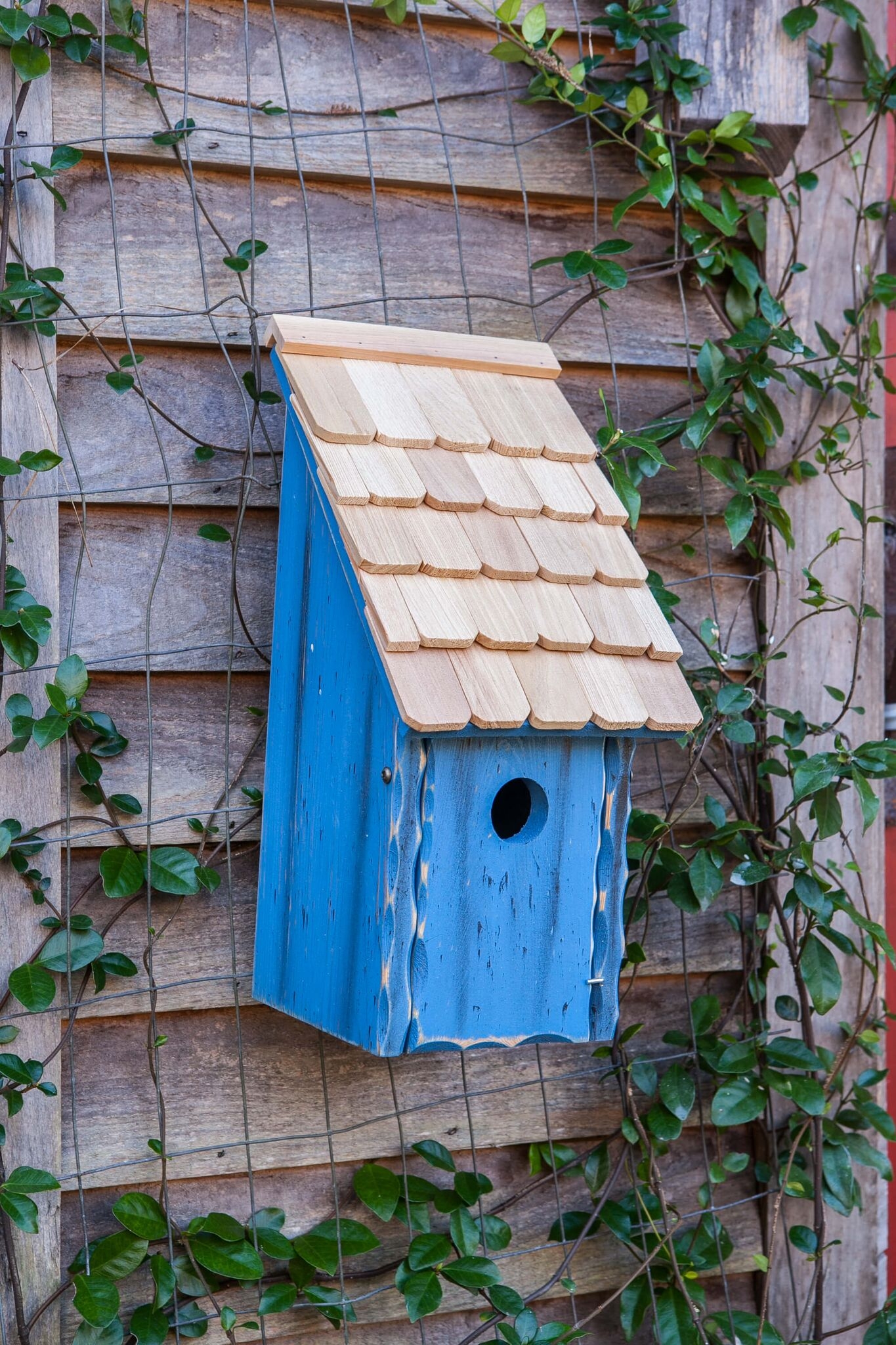 Heartwood Bluebird Bunkhouse Birdhouse