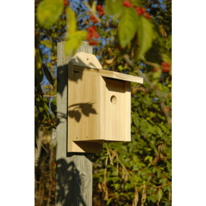 Heartwood Chickadee Joy Box Birdhouse  by Heartwood