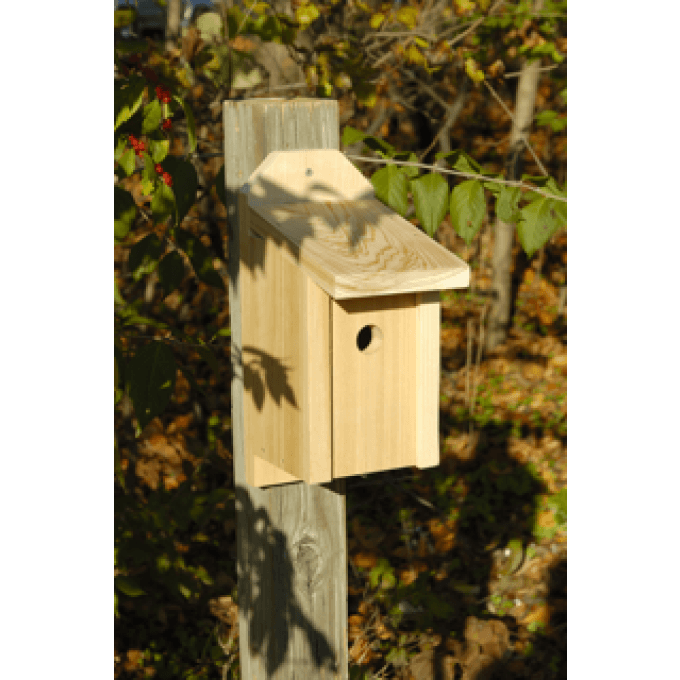 Heartwood Wren Joy Box Birdhouse  by Heartwood
