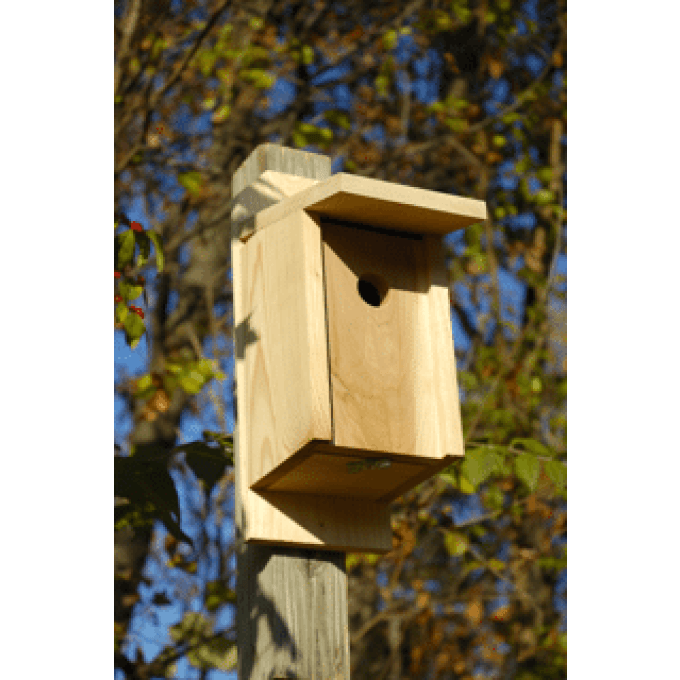 Heartwood Eastern Bluebird Joy Box Birdhouse  by Heartwood