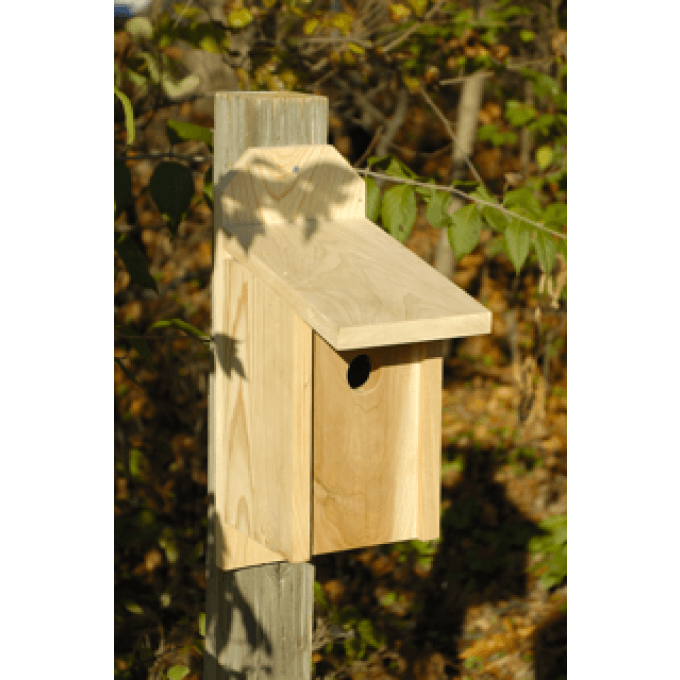 Heartwood Western Bluebird Joy Box Birdhouse  by Heartwood