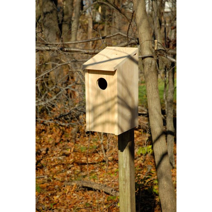 Heartwood Screech Owl Birdhouse - Solid Cypress  by Heartwood