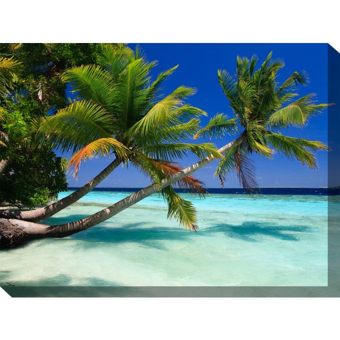 West of the Wind Outdoor Canvas 40"x30" Wall Art - Palms Duo  by West of the Wind