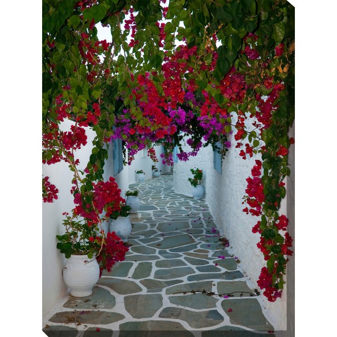 West of the Wind Outdoor Canvas 30”x40” Wall Art - Bougainvillea Path  by West of the Wind