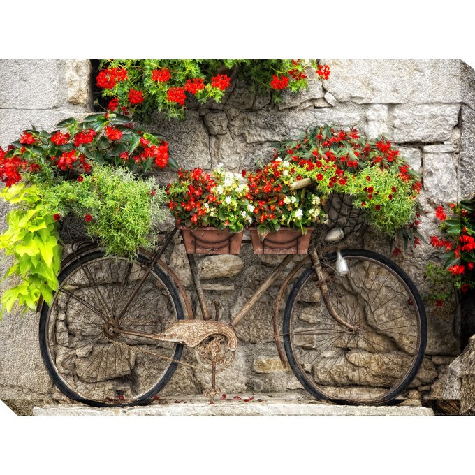 West of the Wind Outdoor 40"x30" Canvas Wall Art - Rusty Bicyclette  by West of the Wind