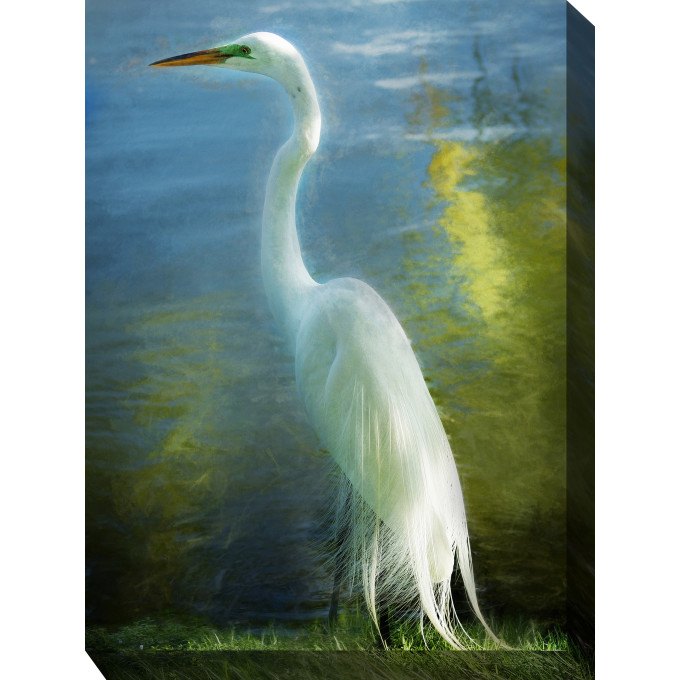 West of the Wind Outdoor Canvas 30”x40” Wall Art - Poised Patience  by West of the Wind