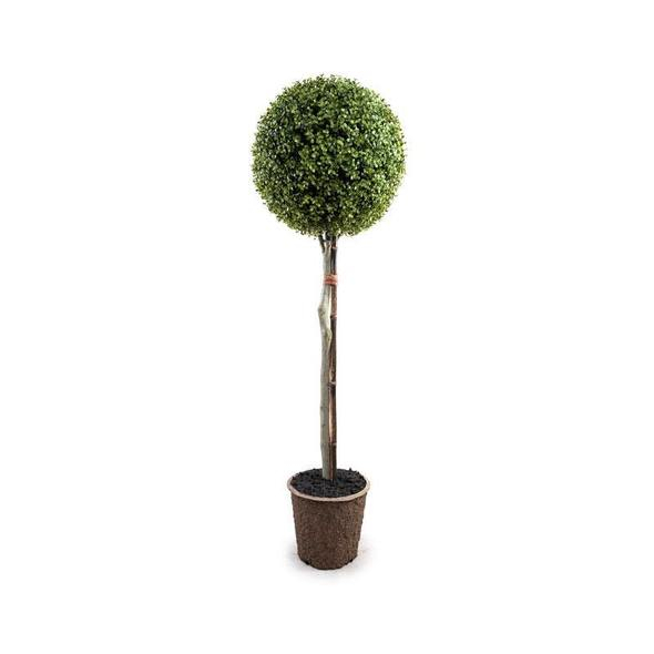 Enduraleaf 15 Inch Boxwood Ball Topiary