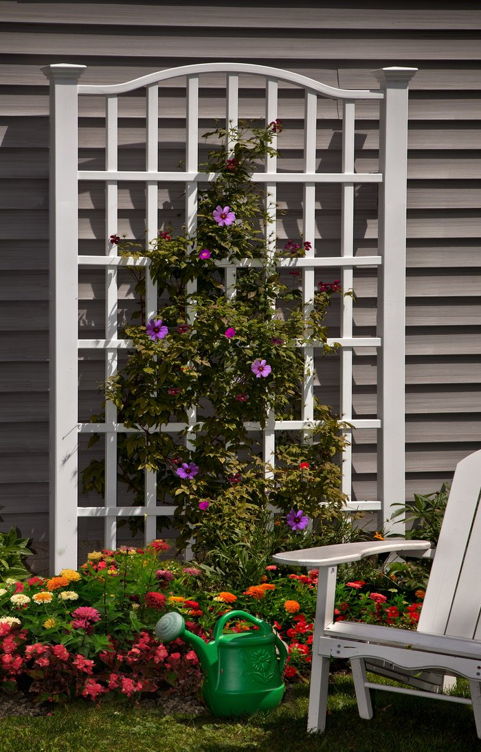 Vita Grande Vinyl Trellis