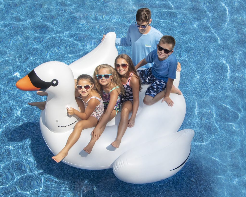 Swan Family Pool Floats - Set of 4
