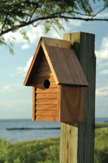 Heartwood Starter Home Birdhouse - Mahogany